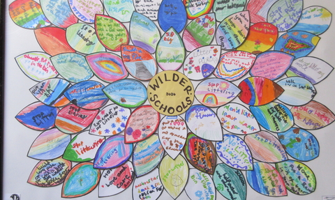 A piece of artwork, with Wilder Schools written on a circle in the centre and lots of colourful leaves displayed around it in a flower shape. Each leaf has a child's nature pledge written on it.