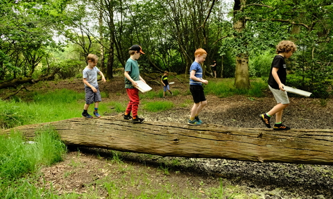 a group of children walking on a fallen tree