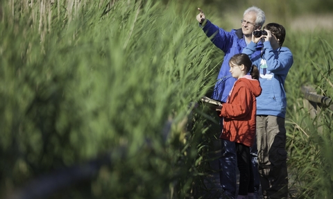 A grandfather and his two grandchildren birdwatch by a reedbed. The man points upwards, while the older child looks through binoculars and the younger child looks across the reeds