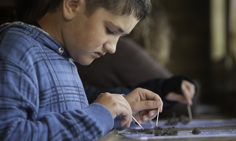 A boy wearing a blue checked jacket looks down at some soil on a table, as he examines it with cocktail sticks