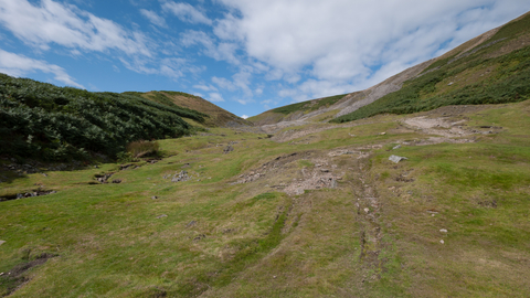 Calaminarian grassland