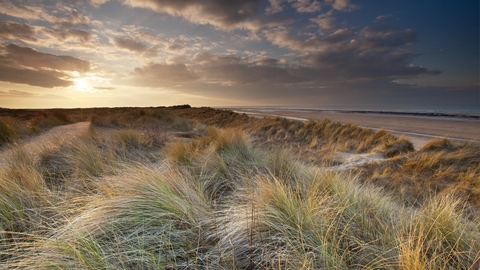 The sun sets in a darkening sky above a dune covered in long grasses, with the beach and sea visible to the right