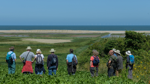 A group of people pictured from behind, as they stand on a green marsh and look out to the sea under a blue sky