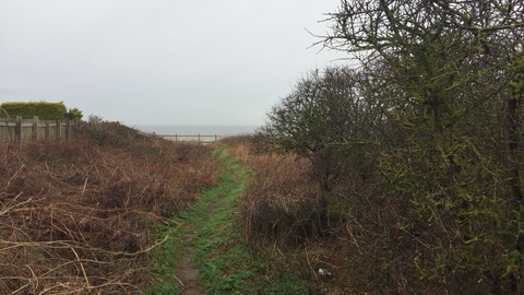 A grassy path leading up to Kay Cliffs on a grey day