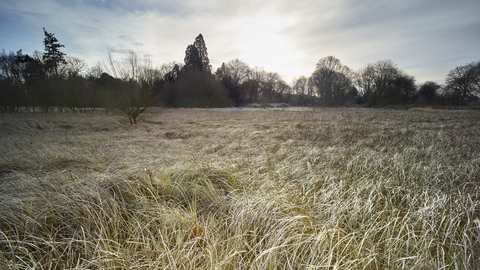 A grassy field at Rushmeadows