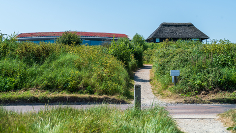 View of Cley marshes visitor centre from the marshes.