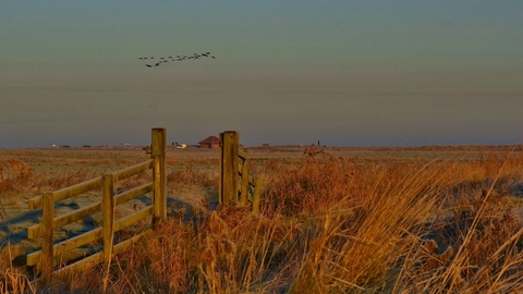View across Cley marshes