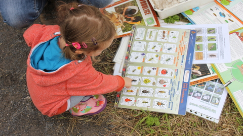 A young girl crouches on the ground while pointing at a minibeast chart