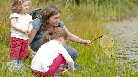 A mum and two little girls pond dipping with a small yellow net. 