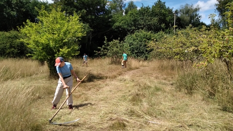 Three people scything long grass on a sunny day
