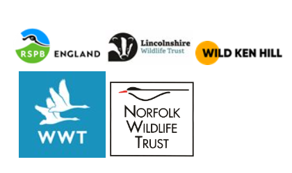 Logos for RSPB, Lincolnshire Wildlife Trust, Wild Ken Hill, WWT and Norfolk Wildlife Trust