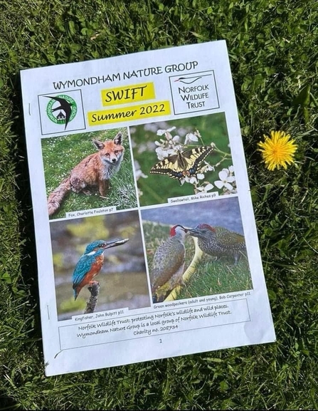 A copy of Wymondham Local Group's Swift newsletter, pictured lying on some green grass beside a yellow dandelion