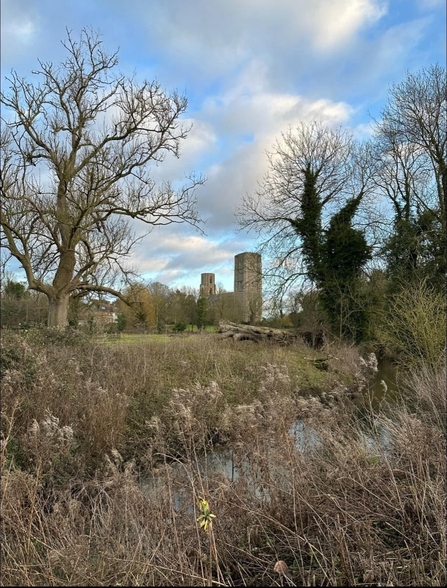 Wymondham Abbey in the distance, surrounded by bare trees, with a river and some reedbeds in the foreground