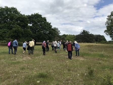 A group of people on a walk through a field on a cloudy day. The people are pictured from behind and are wearing coats.