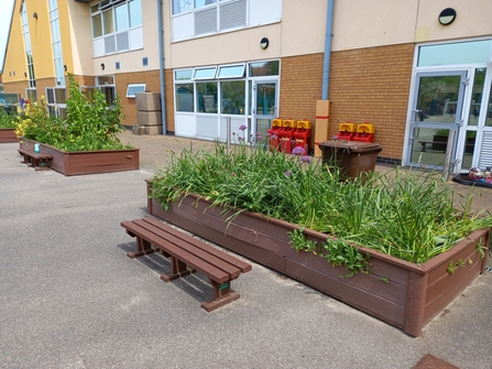 A school playground with raised plant borders filled with green plants, in front of a brick building
