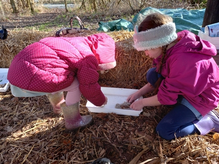 Two young girls wearing pink coats and wellies inspect a wildlife artifact in a white tray, as they sit on the hay covered ground