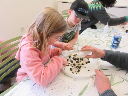 A child in a pink jacket with long blonde hair and a child in a black cap dissect owl pellets on a white plate