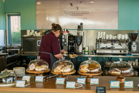 Member of staff working in the cafe at NWT Cley Marshes visitor centre