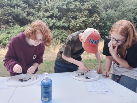Three children gather around a table examining plates of pellets, which they are dissecting