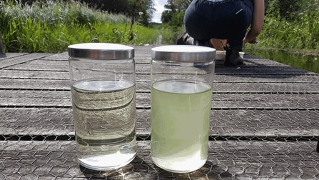 Two jars of water sit beside each other on a boardwalk. The water in the left jar is clear, while the water in the right jar is cloudy