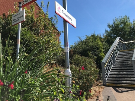 A sign for Reedham train station on the side of the platform, surrounded by flowers, under a blue sky