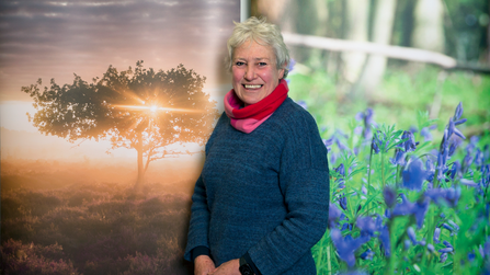 Jennie ffrench-Constant, Vice-Chair of Norfolk Wildlife Trust