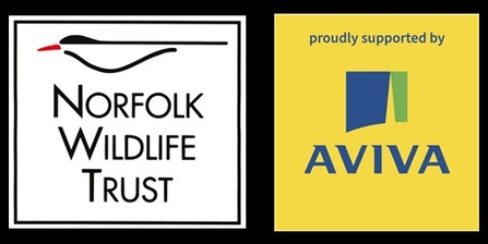 Logos for Norfolk Wildlife Trust and Aviva displayed beside each other