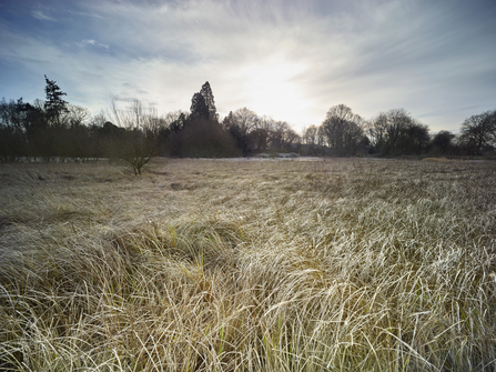 NWT Rushmeadows, SSSI