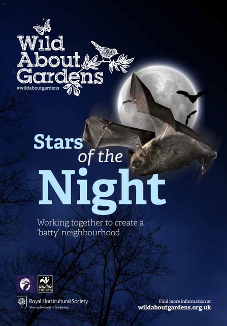 A booklet about bats, with an image of three bats flying on a dark night with a full moon behind them