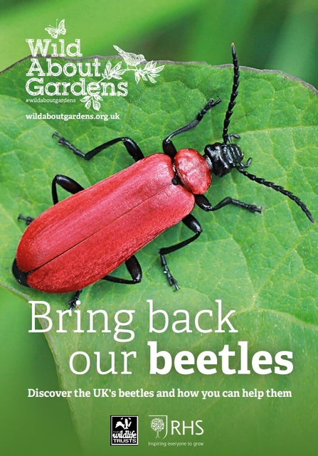 A booklet about beetles, with an image of a red beetle on a leaf