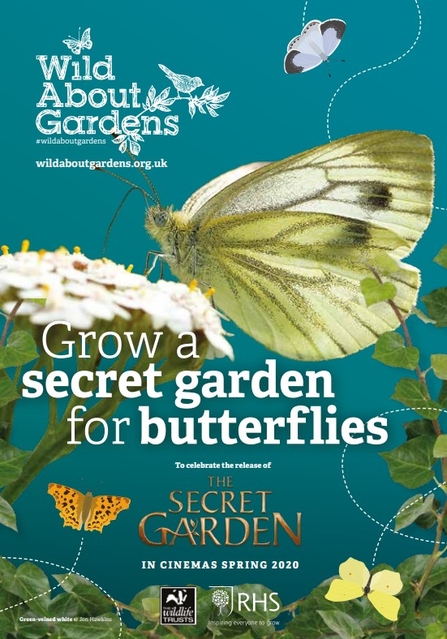 A booklet about butterflies, with an image of a cream butterfly hovering over a white flower