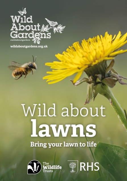A booklet about lawns, with an image of a bee approaching a yellow dandelion