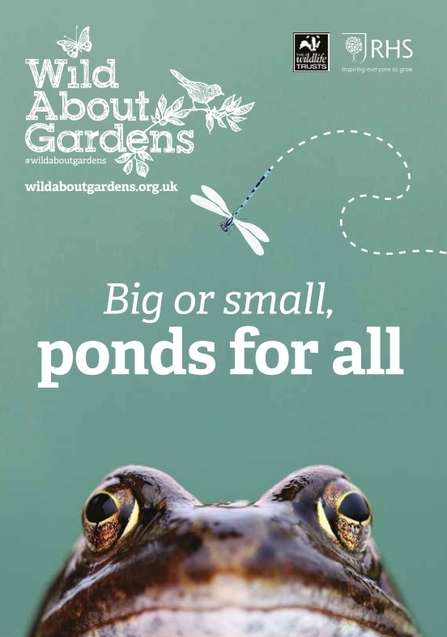 A booklet about ponds, with an image of a frog's face close up