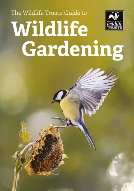 A guide to Wildlife Gardening, with a photo of a blue tit landing on a flower
