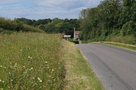 A road on a sunny day, with a large grassy bank to its left filled with wildflowers, and a white road sign in the distance