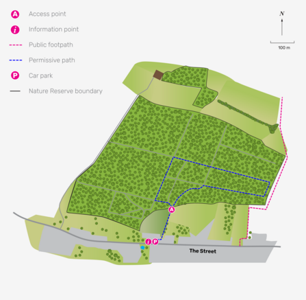 Illustrated map of Lower wood, Ashwellthorpe