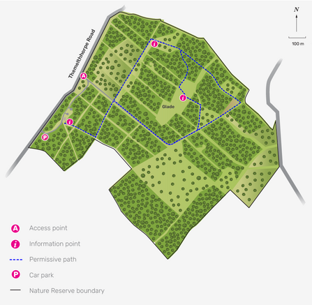 Illustrated map of Foxley Wood