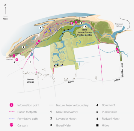Illustrated map of Holme Dunes