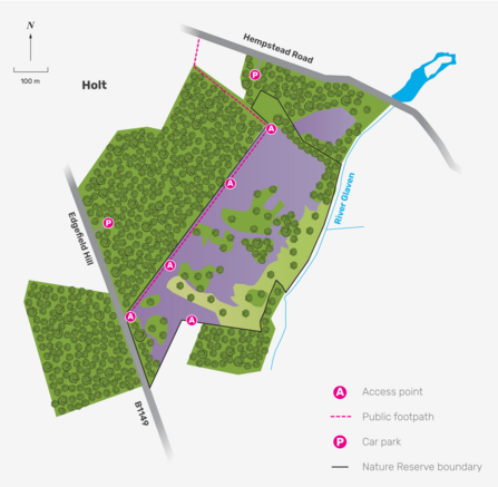 An illustrated map of Holt Lowes