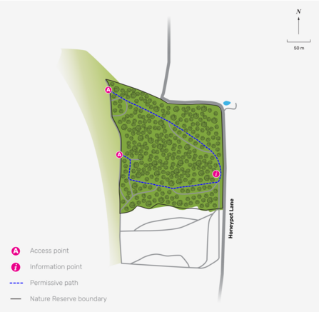 An illustrated map of Honeypot Wood