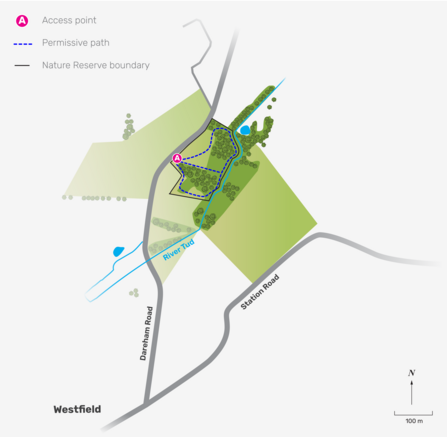 An illustrated map of Lolly Moor