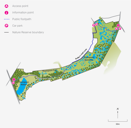 Illustrated map of Thompson Common