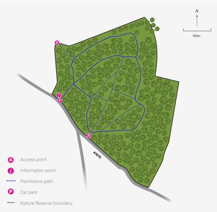 Illustrated map of Wayland Wood