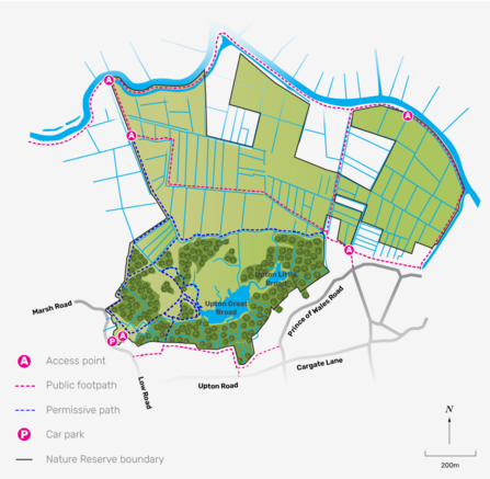 Illustrated map of Upton Broad nature reserve