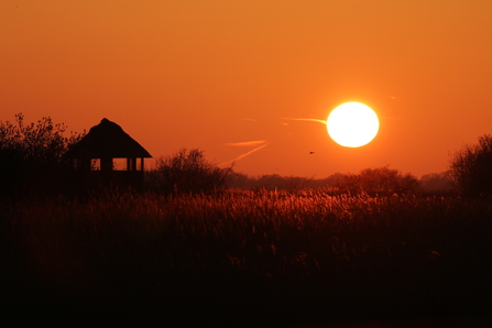 A big bright round sun sets in an orange sky above the reedbeds at Hickling Broad.