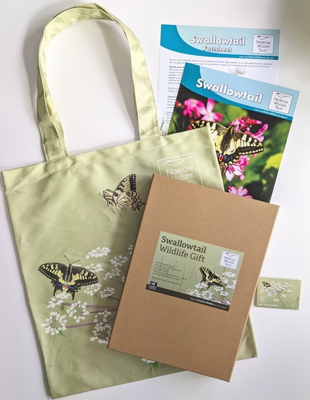 A tote bag is decorated with swallowtail butterfly illustrations and displayed with a brown gift box, magnet, and swallowtail fact sheet