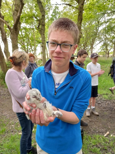 William is holding a baby owl at a Wilder Warden session. 