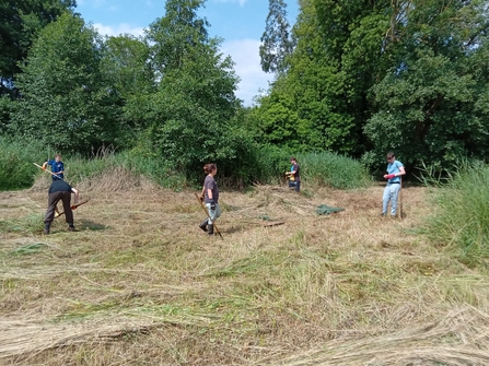 Four young people rake hay in a field on a sunny day. They are holding large rakes and wearing t-shirts and trousers.