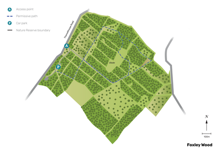 Illustrated map of Foxley Wood.