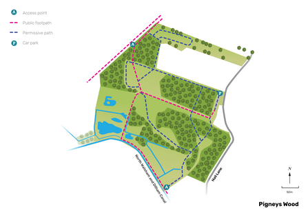 Illustrated map of Pigneys Wood.